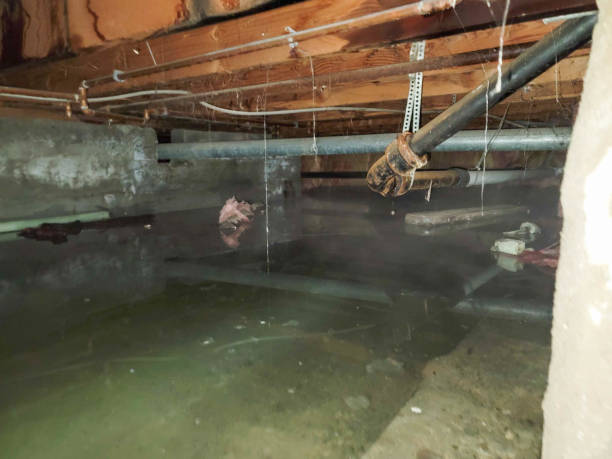 Best 24-hour water damage restoration  in Fair Plain, MI