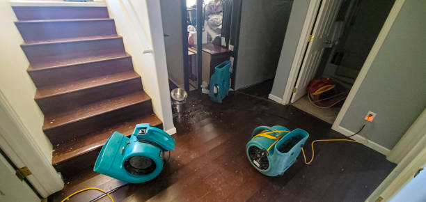 Best Sewage cleanup and water damage restoration  in Fair Plain, MI