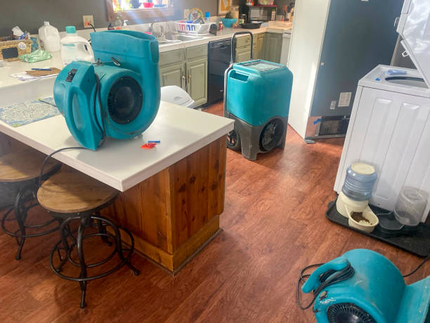 Best Basement water damage restoration  in Fair Plain, MI