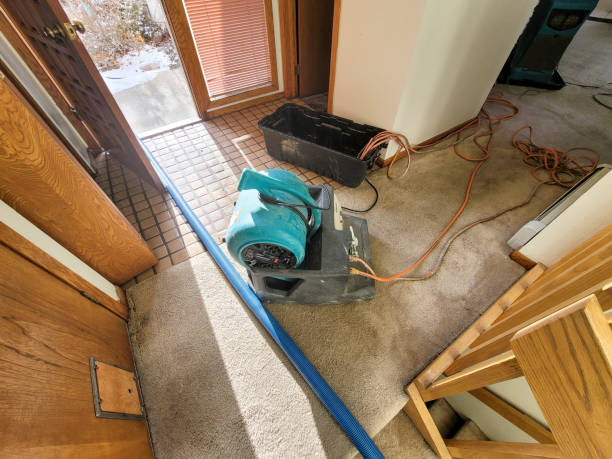 Best Carpet water damage restoration  in Fair Plain, MI