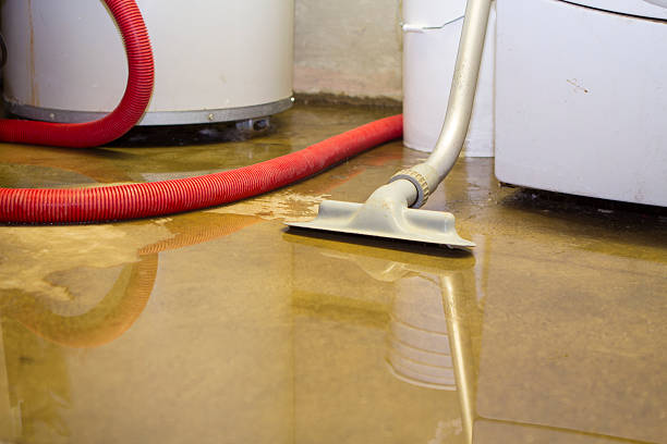 Best Water damage restoration near me  in Fair Plain, MI