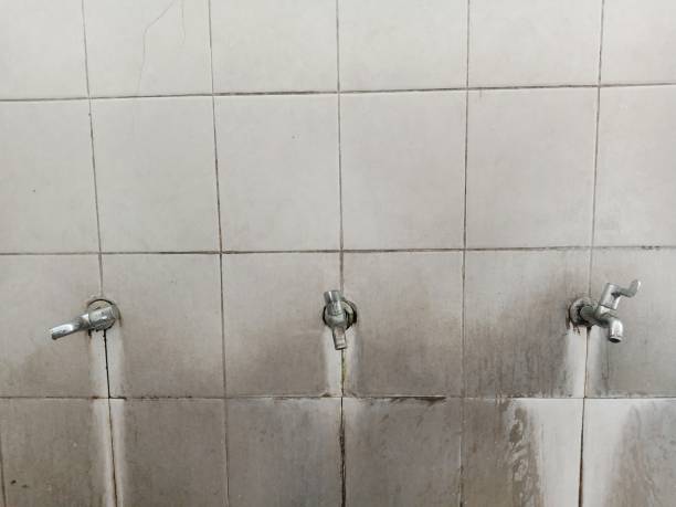 Best Flood damage cleanup  in Fair Plain, MI