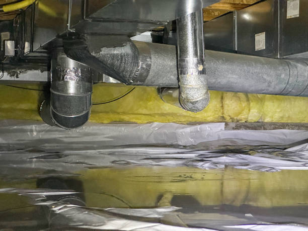 Best Flooded house restoration  in Fair Plain, MI