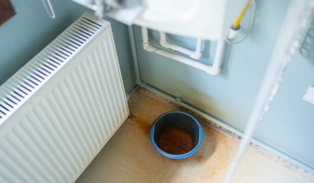 Best Water damage restoration near me  in Fair Plain, MI